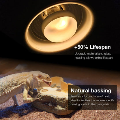 Reptile Heat Lamp, 2 Pack 75W Intense and Infrared Basking Bulbs Light for Reptiles, UVA Daylight Night Red Basking Light for Bearded Dragon, Lizard, Gecko,Reptile Heat Bulb