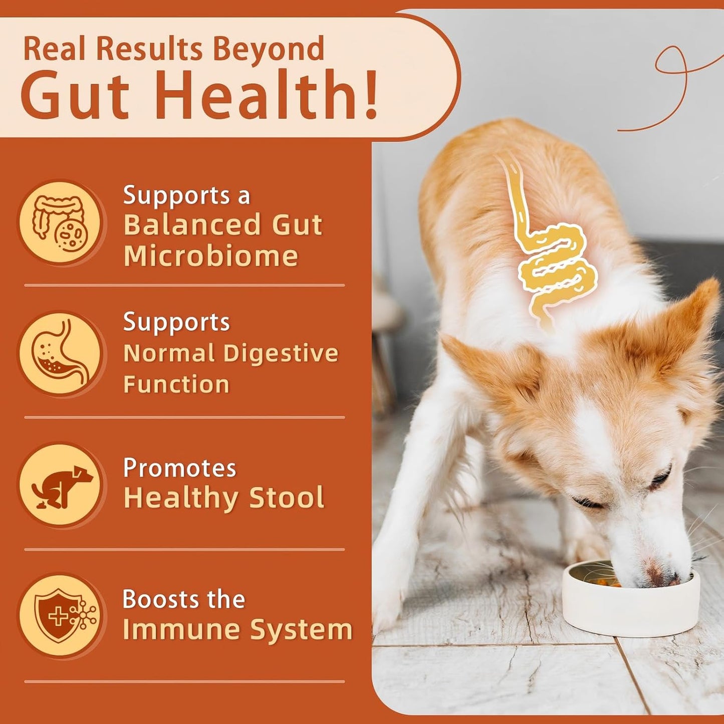 ZEBORA Pumpkin Powder for Dogs & Probiotics Soft Chews for Dogs, Pumpkin Flavor