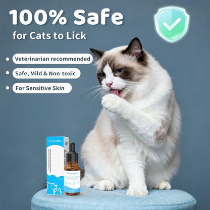 Concentrated Waterless Shampoo with Grey Grooming Glove, No-Rinse & Lick-Safe Essence for Steam Brushes, Gentle Care for Cats/Kittens/Seniors, Manage Shedding & Freshness