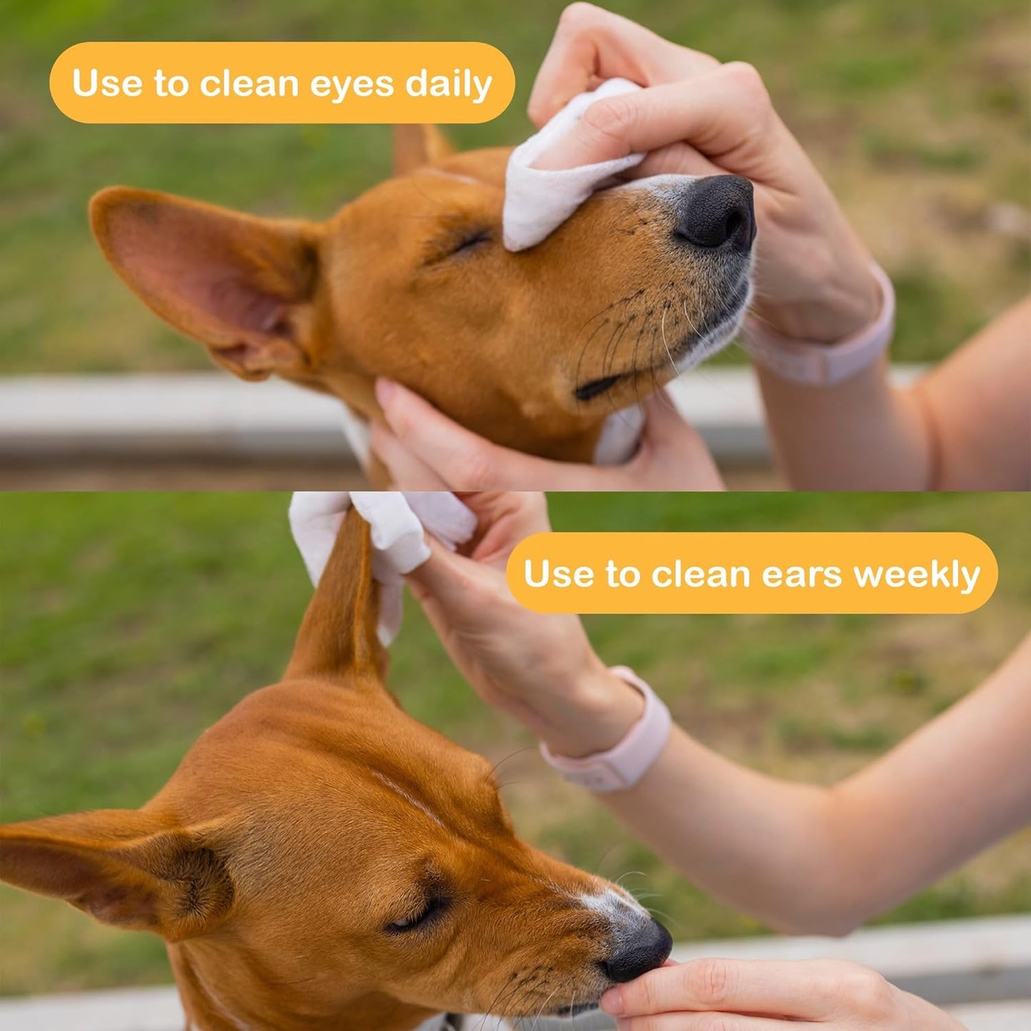 SONO Dog Wipes - Gentle Pet Wipes for Paws, Butt, Face & Body - Cleaning, Deodorizing, Puppy & Cat Friendly - Unscented, 100 Count