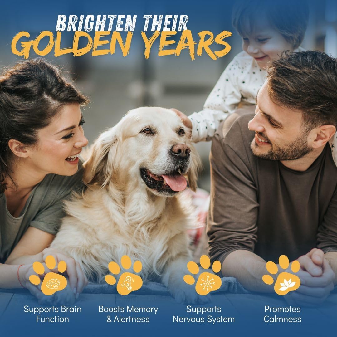 Dr. Fossum's CogniCaps Dog Cognitive Supplement – Multivitamin for Dogs Brain Health with SAM-e, Coenzyme Q10, Polygala, Curcumin – Senior Dog Supplements for Cognitive Support (12 lbs & Under)