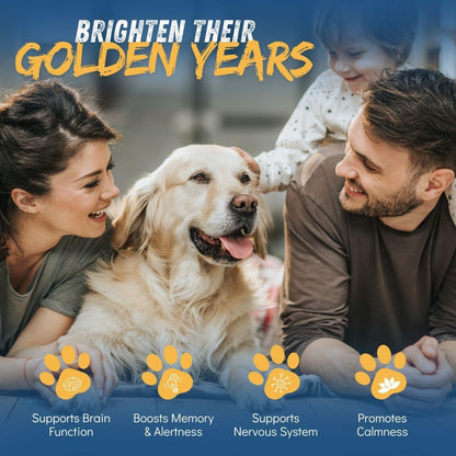 Dr. Fossum's CogniCaps Dog Cognitive Supplement – Multivitamin for Dogs Brain Health with SAM-e, Coenzyme Q10, Polygala, Curcumin – Senior Dog Supplements for Cognitive Support (12 lbs & Under)