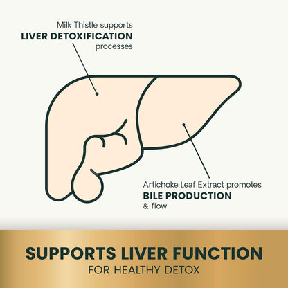 VetriScience Liver Health Chews with Milk Thistle, Vetri Liver Detox Supplement for Dogs, Turmeric and Artichoke Leaf for Liver Support and Detoxification, Chicken, 60 Count