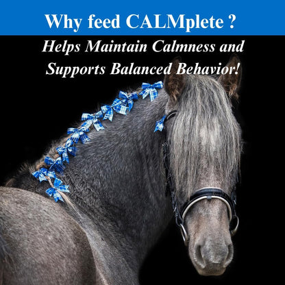 SU-PER CALMplete Calming Horse Supplement - Maintain Calmness & Balanced Behavior - Thiamine, Tryptophan & Magnesium - 4 Pounds, (2 Pack)