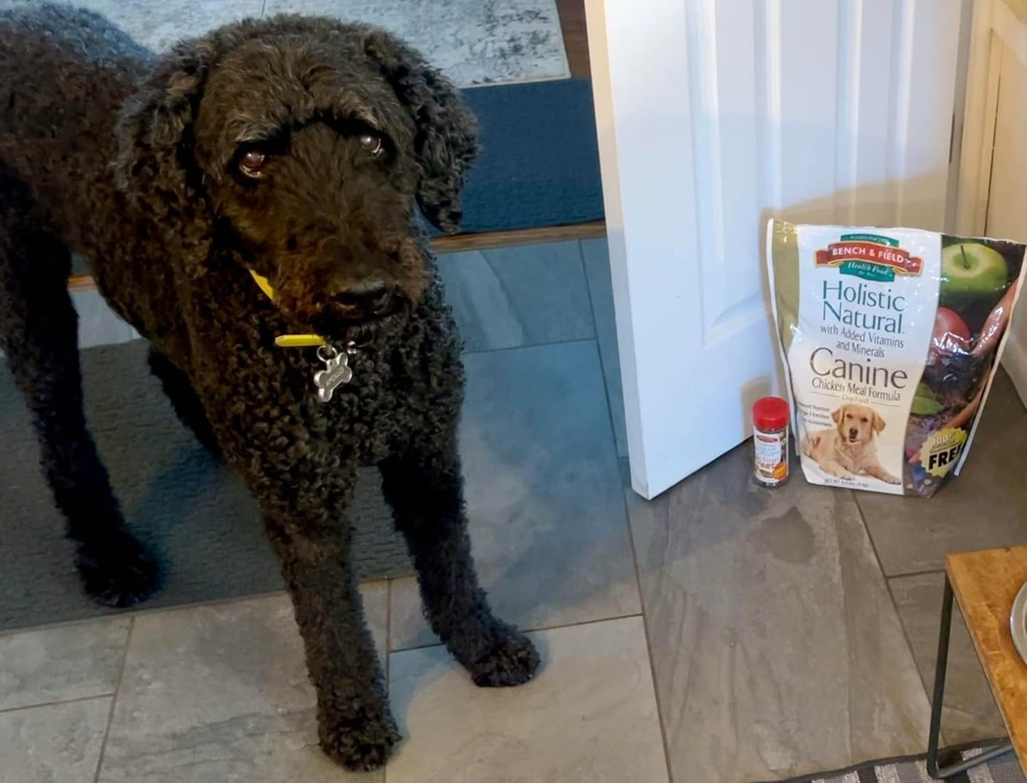 Bench & Field Holistic Natural Adult Dry Dog Food, Chicken Meal and Brown Rice Recipe 6.6 lb Bags (Pack of 3)