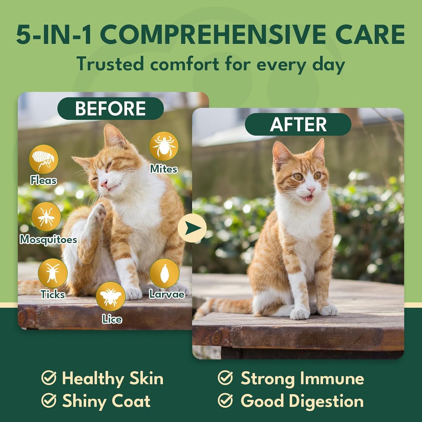 YOTANGO Cat Flea Treatment Crunchy & Creamy Chewables, 500 Chews Natural Flea and Tick Prevention for Cats + Skin and Coat Support, Daily Oral Supplement Chewables for Cats and Kittens (Salmon Flavor)