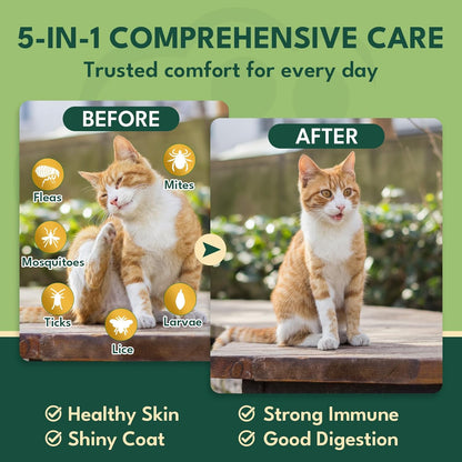 YOTANGO Cat Flea Treatment Crunchy & Creamy Chewables, 500 Chews Natural Flea and Tick Prevention for Cats + Skin and Coat Support, Daily Oral Supplement Chewables for Cats and Kittens (Salmon Flavor)