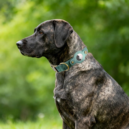 AirTag Dog Collar for Large Dogs - Soft Leather Dog Collar with Apple AirTag Holder and Metal Buckle - Smart Tracker GPS Apple Air Tag Pet Collars (Green, L)