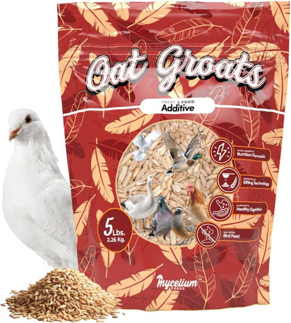 Mycelium Organic Oat Groats for Birds (5 LB Bag) | Clean, Non-GMO Grain Treat or Food Additive | Debris & Dust-Free Advanced Sifting | Ideal for Small Pet & Ground-Feeding Wildlife Birds | Made in USA
