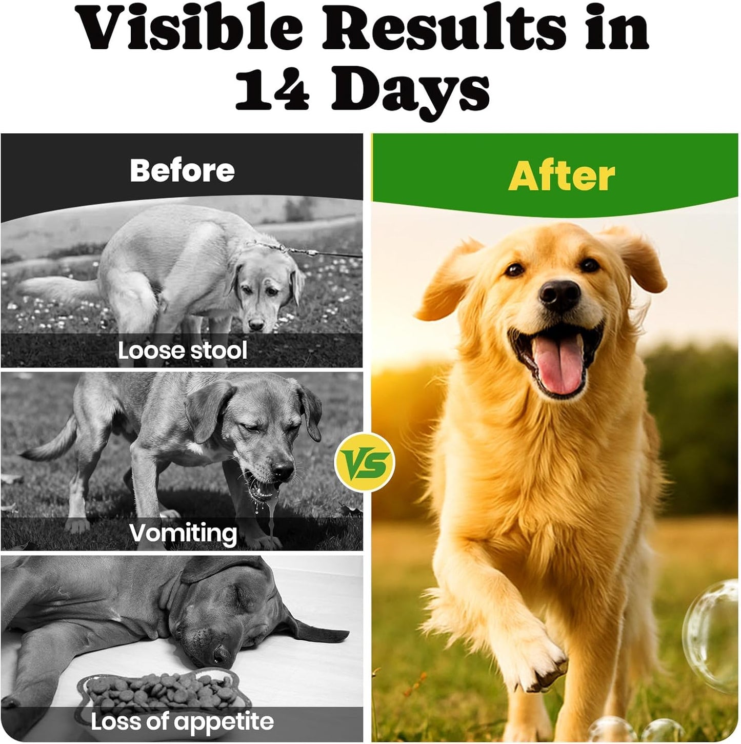 Probiotics for Dogs - Dog Probiotics with 5 Enzymes & 4 Prebiotics for Itchy Skin, Pet Probiotics lab for Digestion & Gut Support, Helps Diarrhea, Yeast Infection, Allergies & Immune System -180 Chews