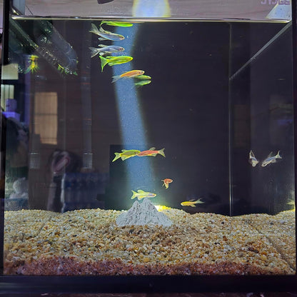 Aquarium Ornament,Rockery Design – Stone,Fish Tank Decorations Aquarium Decoration Mini