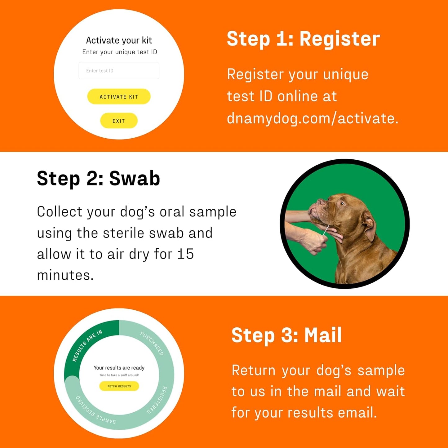 DNA Genetic Age and Breed Test – Trusted & Affordable Breed Identification | 350+ Breeds Identified with 99%+ Accuracy | Plus Genetic Age Test, Wolf DNA