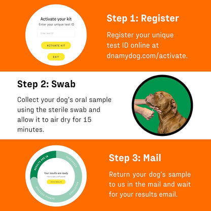 DNA Genetic Age and Breed Test – Trusted & Affordable Breed Identification | 350+ Breeds Identified with 99%+ Accuracy | Plus Genetic Age Test, Wolf DNA