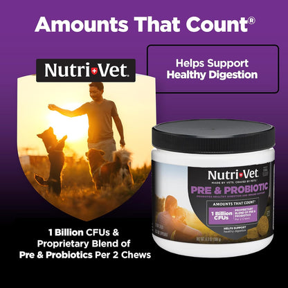 Nutri-Vet Pre & Probiotics for Dogs, Digestive Support, Upset Stomach, Puppy Probiotic, Pet Vitamins and Supplements, Dog Probiotics, Liver & Cheese Flavor, 120 Soft Chews