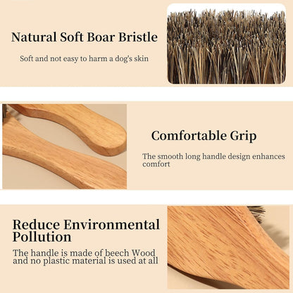 Soft Boar Bristle Dog Brush for Short Haired, Gentle Deshedding & Grooming Tool, Ideal Pet Hair Brush, Puppy Essentials for Grooming and Shedding, Small and Large