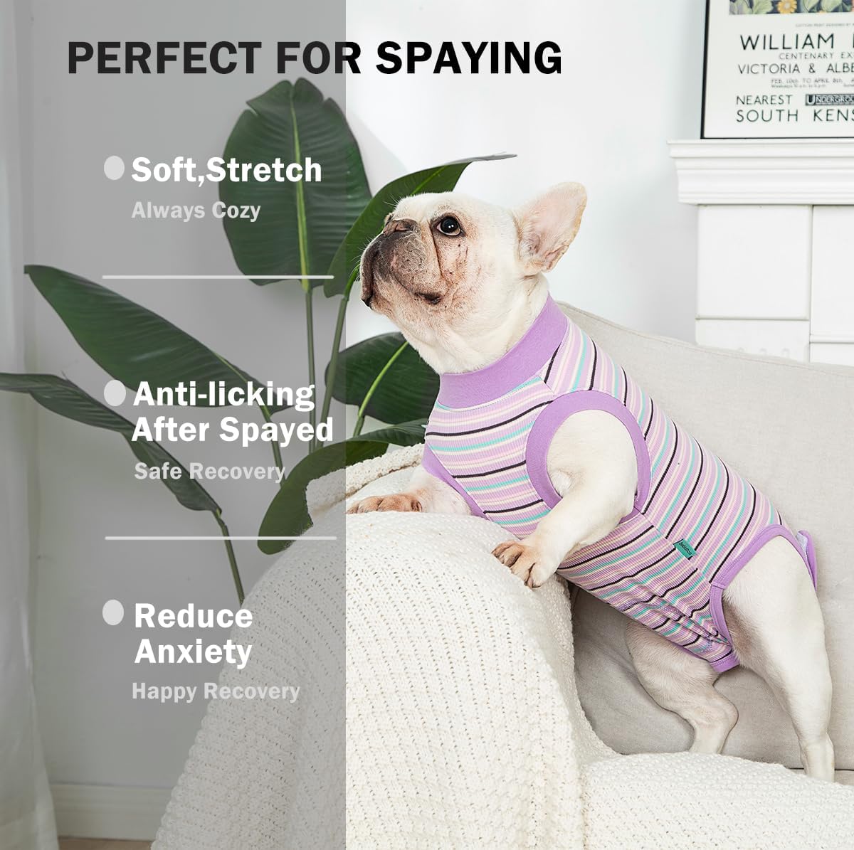 Sebdtico Recovery Suit for Dogs,Dog Surgery Suit Female Spay,Soft Dog Onesie for Surgery Female,Dog Cone Alternative Surgical Recovery Suit Female,Abdominal Wounds Licking Anti Suit for Dogs