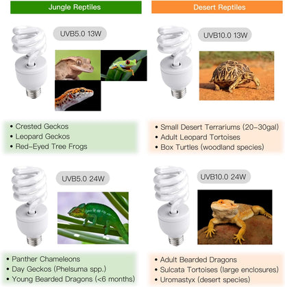 UVB Reptile Light, 13W, UVB10.0 Bulb, UVA UVB Reptile Light Bulb Lamp for Bearded Dragon, Tortoise UVB Bulbs for Desert Reptiles Tank Accessories