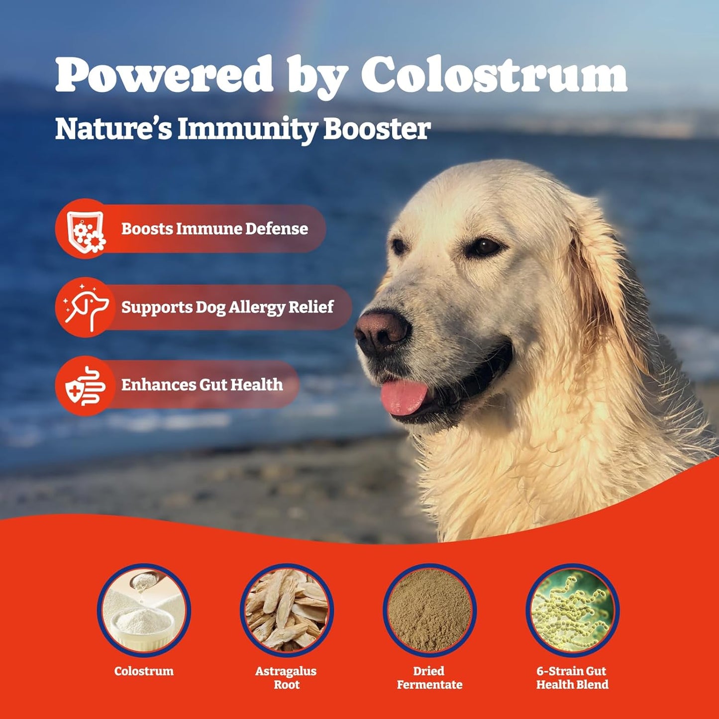 Dog Allergy Relief Chews – 70 Count + 180 Count Bundle for Long-Term Allergy & Immune Support