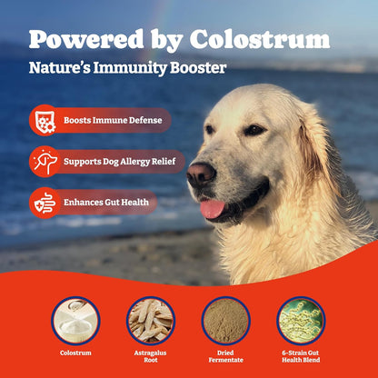 Dog Allergy Relief Chews – 70 Count + 180 Count Bundle for Long-Term Allergy & Immune Support