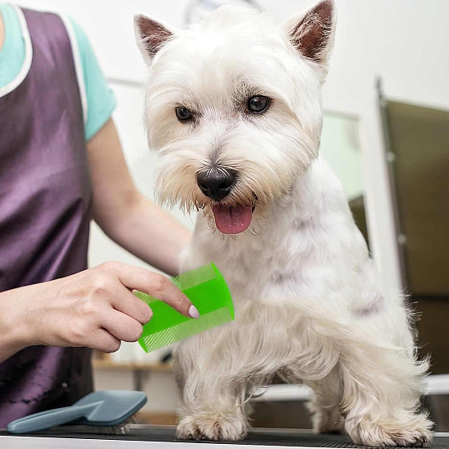 4 Pack Double sided Flea Comb,for Cats and Dogs