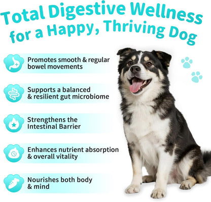 Probiotics for Dogs, Digestive Enzymes & Pumpkin Fiber for Gut Health and Bowel Support, Dog Supplement for Gas Relief & Constipation, 10B CFU with 5 Prebiotics & 5 Enzymes, 90 Count Beef Flavor