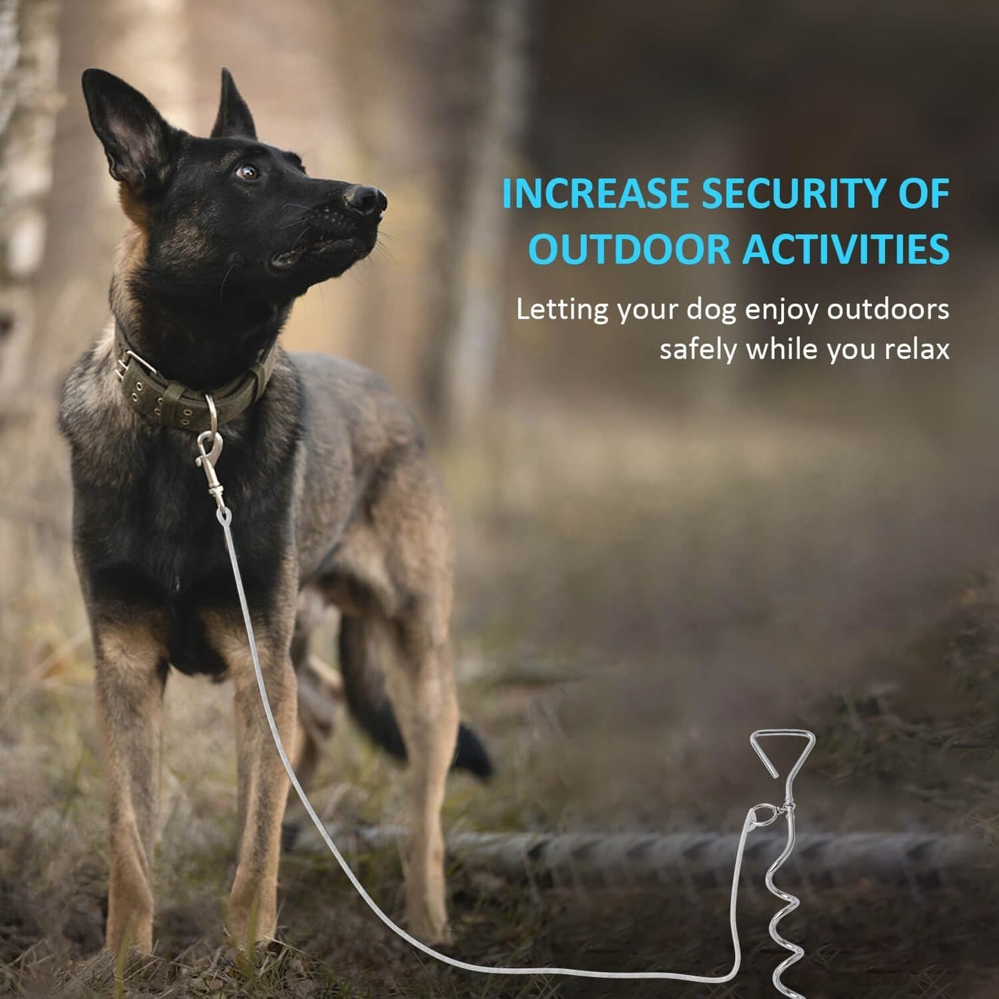 WePet Dog Tie-Out Stake, Durable Silver Spiral Anchorstake, Secure Outdoor Tethering for All Cable Leash Chain, Camping Yard, Rust-Resistant, Easy Installation, Medium, 16 Inch