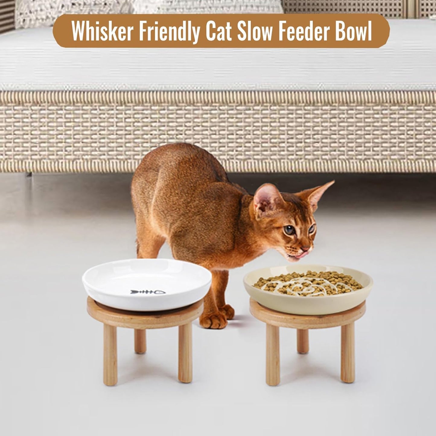 Shallow Elevated Cat Bowls with Bamboo Stand, 5.9 Inch Raised Slow Feeder Cat Bowl and Wide Ceramic Cats Bowls Whisker Friendly, 2 Pack Pet Dishes for Dry and Wet Food Dishwasher Safe
