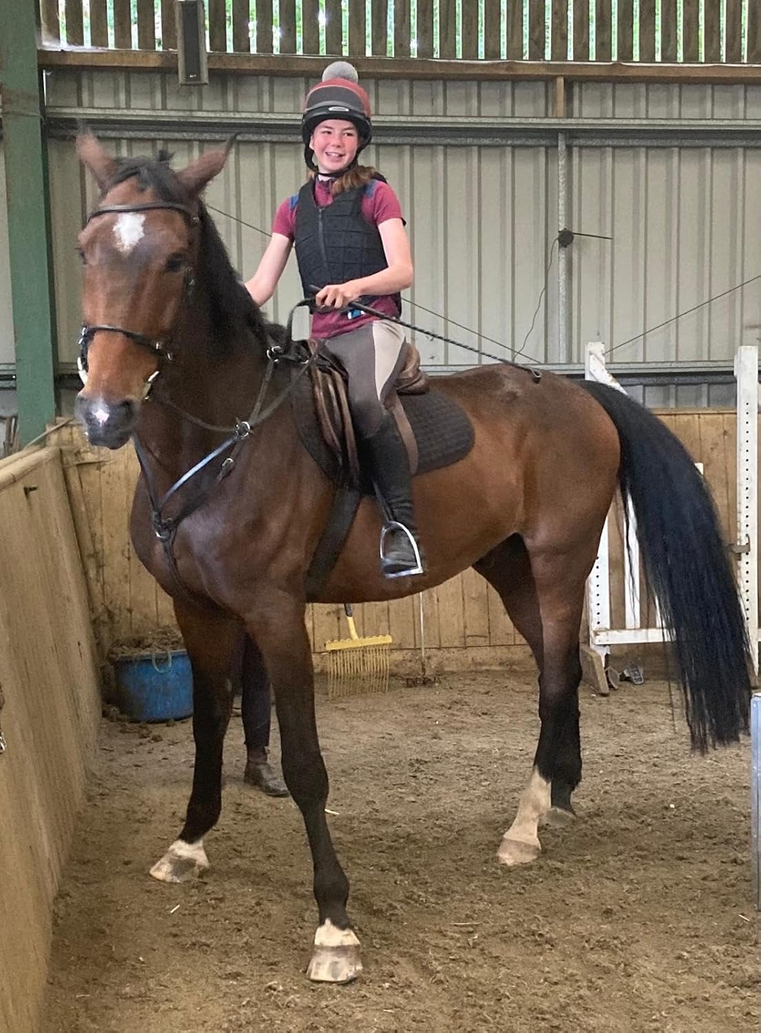 Horse Food Intolerance Test | Sensitivity Food Test Kit | Suitable for All Ages and Breeds | Easy to Use | Non-Invasive Fur Sample | 300 Item Test | Results Report in 3 Days | U.S Based Testing