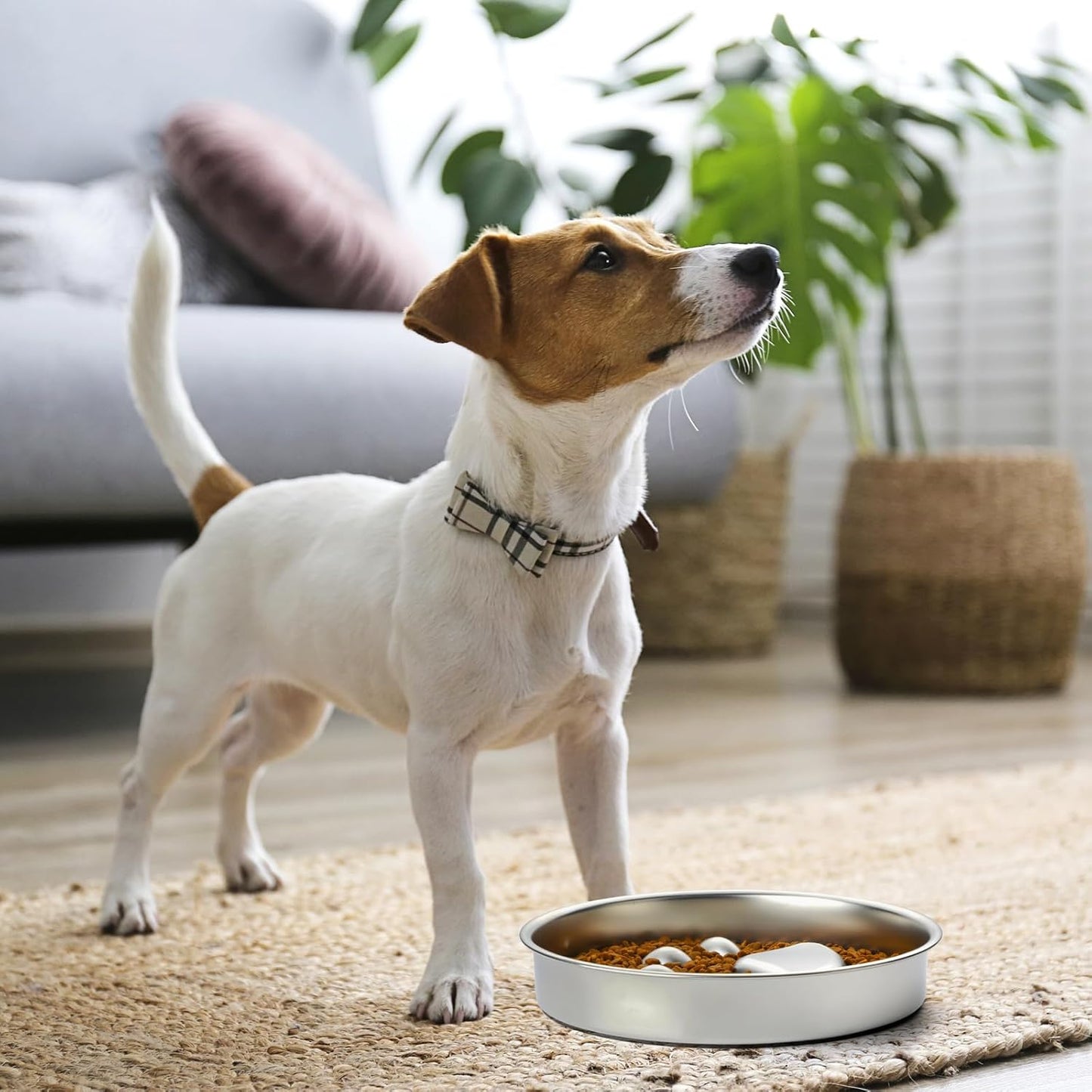 Slow Feeder Dog Bowls Stainless Steel Bowl with Non-Slip Rubber Base Metal Bowl for Small Medium Large Breed Dogs