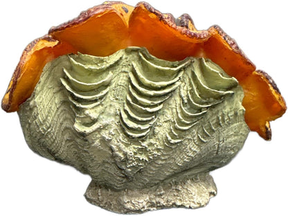 Resin Aquarium Ornament Decor for Fresh or Saltwater Aquariums - Clam (4.75" x 2.5" x 3.25") (Tiger Print)