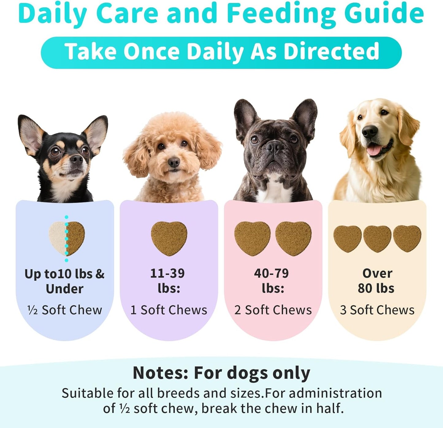 Probiotics for Dogs, Digestive Enzymes & Pumpkin Fiber for Gut Health and Bowel Support, Dog Supplement for Gas Relief & Constipation, 10B CFU with 5 Prebiotics & 5 Enzymes, 90 Count Beef Flavor