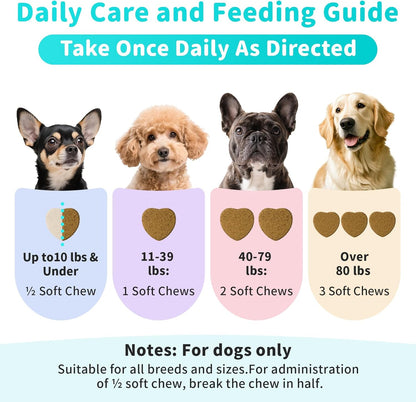 Probiotics for Dogs, Digestive Enzymes & Pumpkin Fiber for Gut Health and Bowel Support, Dog Supplement for Gas Relief & Constipation, 10B CFU with 5 Prebiotics & 5 Enzymes, 90 Count Beef Flavor