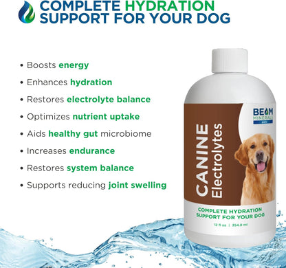 Beam Minerals Complete Canine Electrolytes | Full-Spectrum Electrolytes for Dogs | 12 Fl Oz