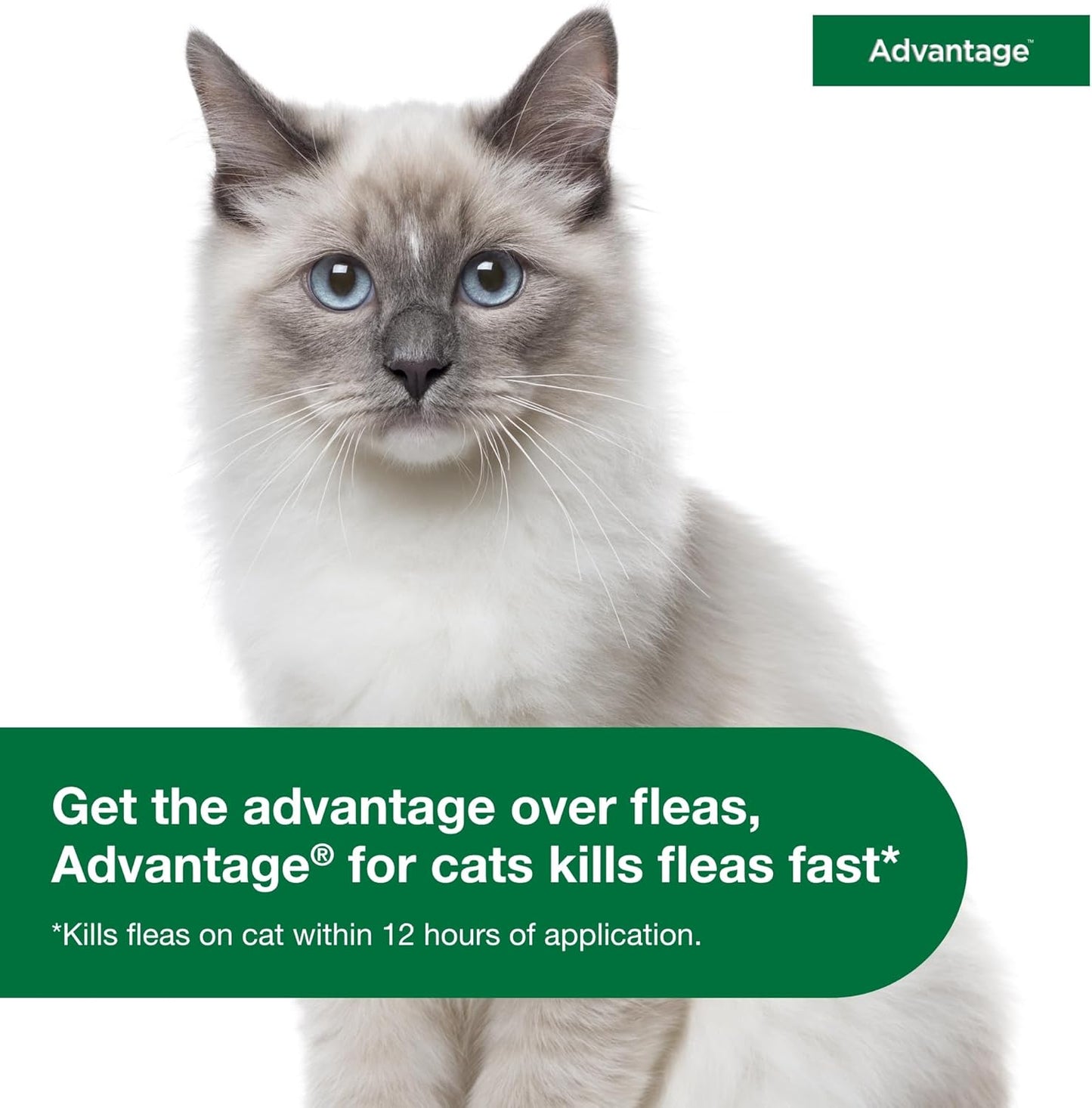Advantage Topical Cat Flea Treatment and Prevention for Small Cats 2-9 lbs. | Apply Flea Drops Monthly | 6 Treatments (Pack of 3)