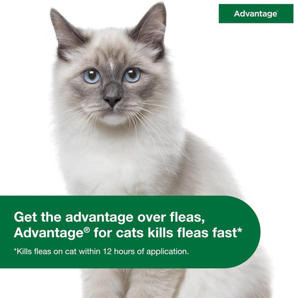 Advantage Topical Cat Flea Treatment and Prevention for Small Cats 2-9 lbs. | Apply Flea Drops Monthly | 6 Treatments (Pack of 3)
