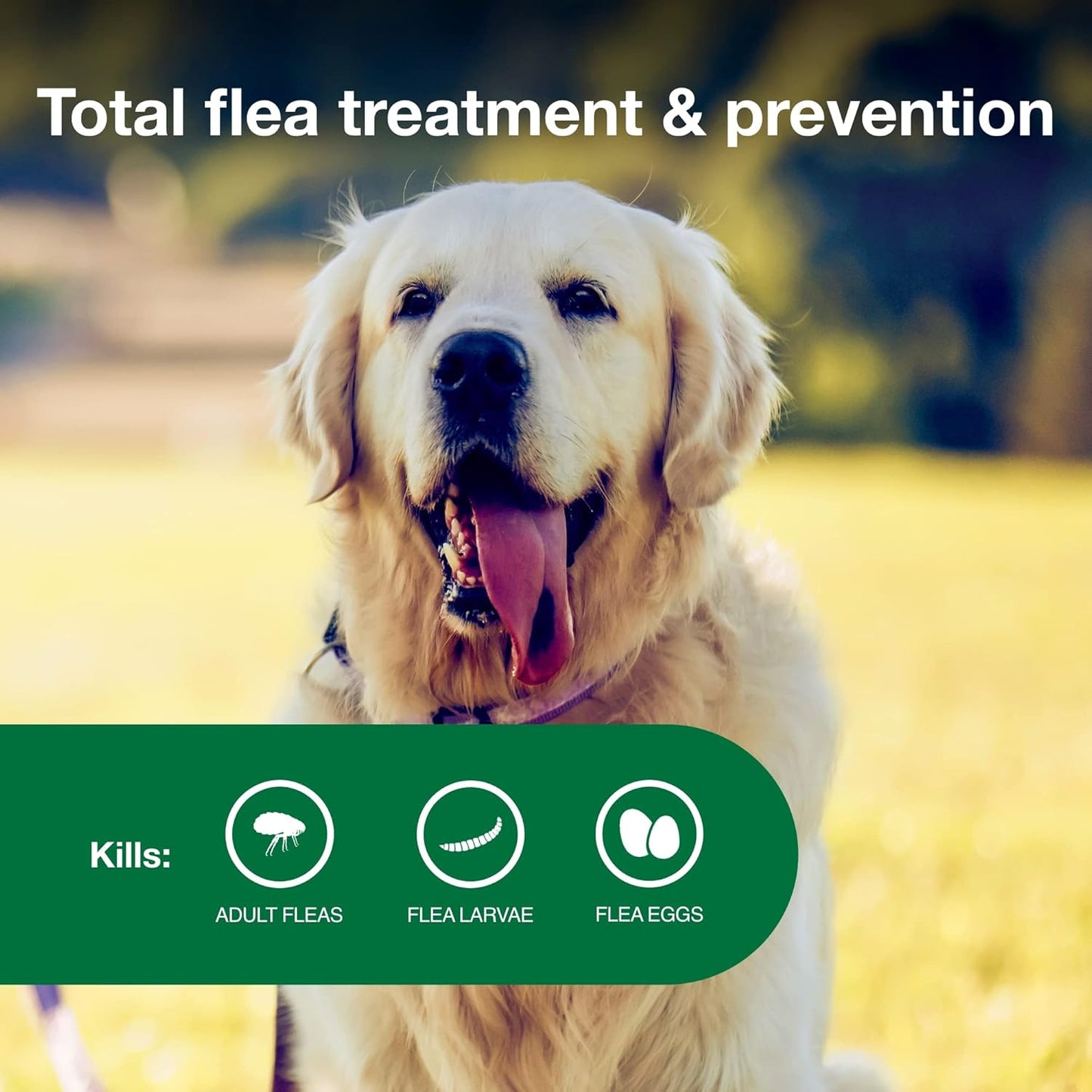 Bundle of Advantage II Large Dog| Dogs 21-55 lbs. | 4-Month Supply + Pet Protect Dog Digestive Health Supplement | 60 Chews
