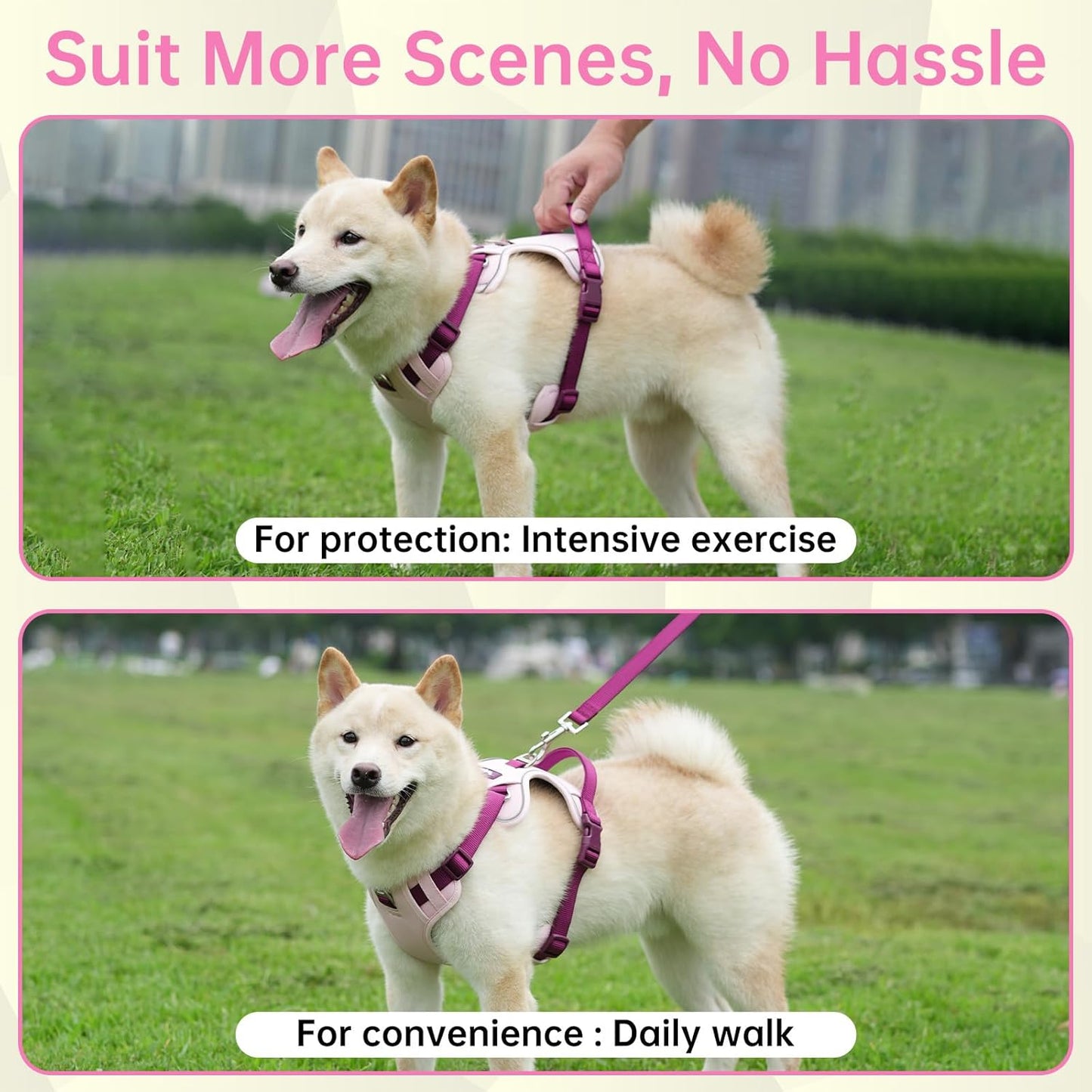 No Pull Dog Harness Leash and Collar Set, Soft Adjustable Dogs Vest Reflective and Comfortable Handle Pink Large