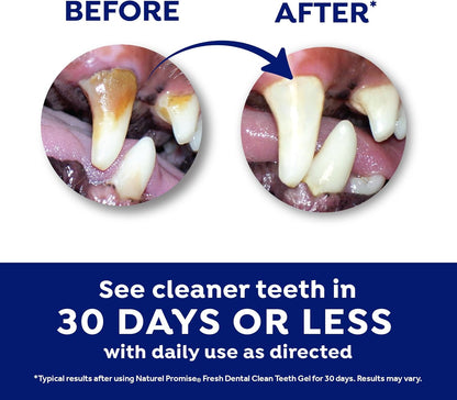 Fresh Dental Dog Toothpaste for Teeth Cleaning, Dog Breath Freshener, Easy Plaque & Tartar Remover Gel, No Toothbrush Needed, Effortless Dental Care, Minty Flavored Toothpaste, Made in USA, 4oz.