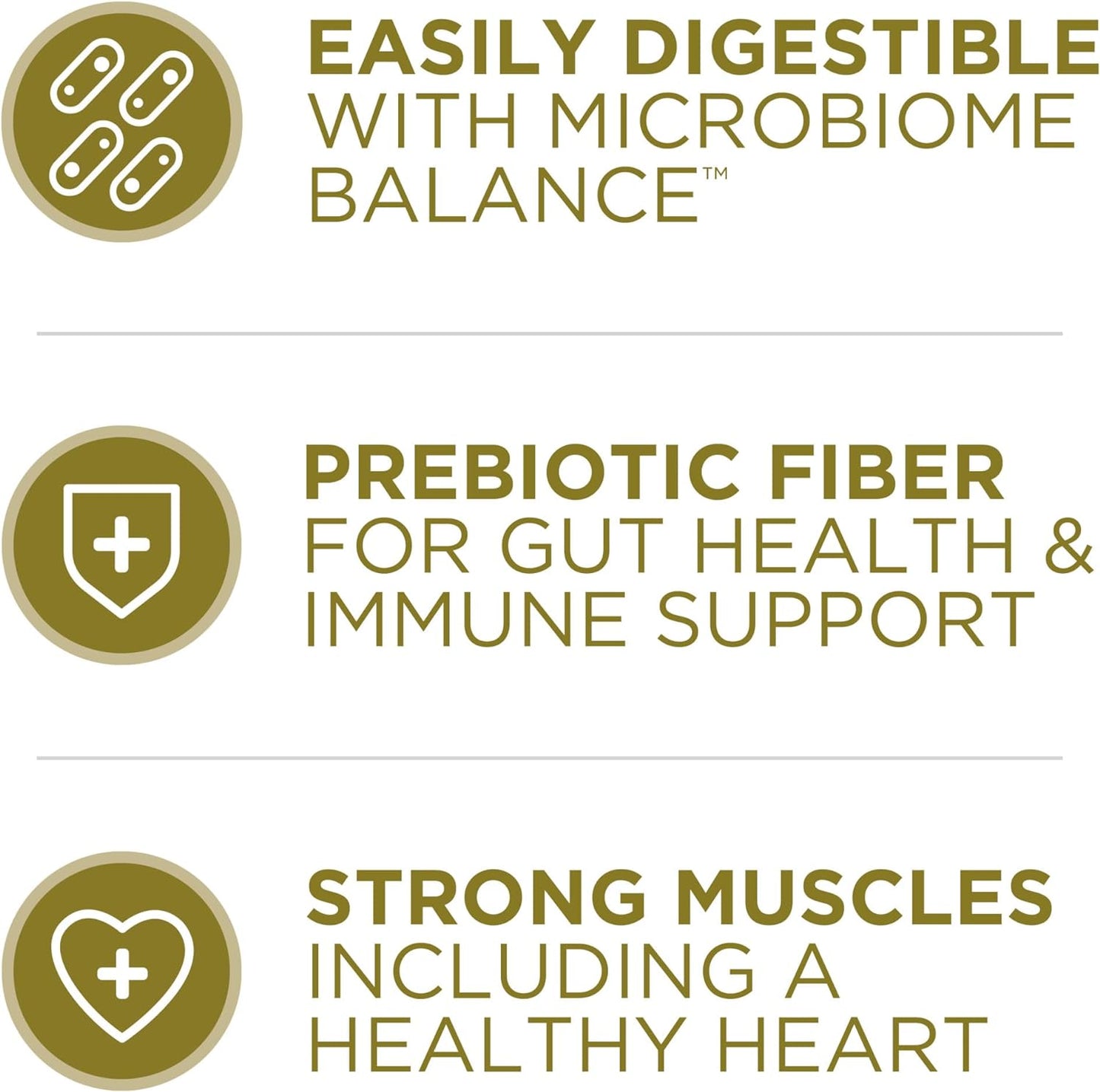 Purina ONE Dry Dog Food Lamb and Rice Formula - 31.1 lb. Bag