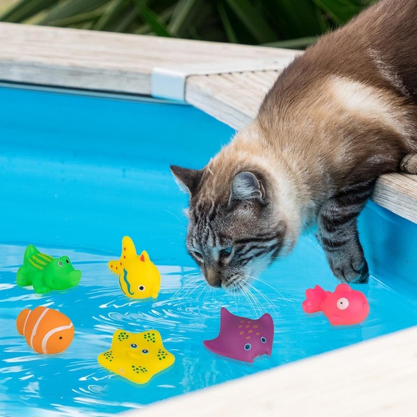 6 Pcs Pool Cat Interactive Toy, Cat Pool Toys, Floating Water Toy, Pet Kitten Swimming Bathing Fish Toy,Bath Toys, Sensory, Cats for Endless