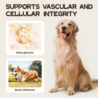 Dog Cancer Supplements, Dog Critical Guard, Defense Immune Support, Mushroom Supplement with Turkey Tail, Reishi, Lion’s Mane & Cordyceps, Immune Support Powder for Wellness & Vitality, Natural Herbal