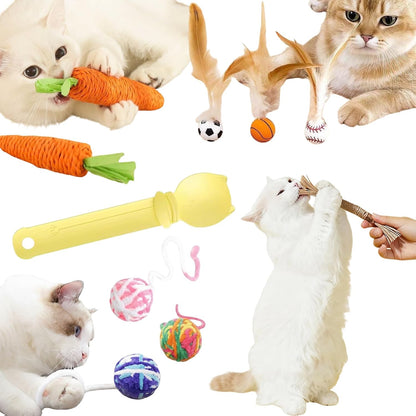 10-Pack Cat Toy Variety Set – Catnip Sticks, Carrot Chew Toys, Feather Balls, Yarn Bell Balls & Treat Spoon for Indoor Cats and Kittens