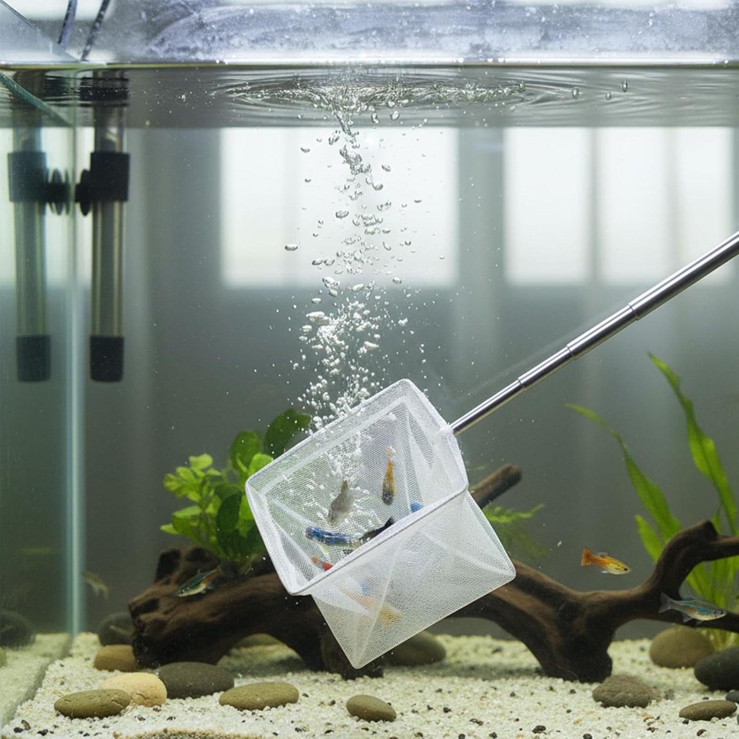 2 Pcs Fish Net for Fish Tank, 3 Inch Aquarium Netwith Extendable Long Handle, Fine Mesh Small Fish Net for Shrimp & Bettas Aquarium Accessories