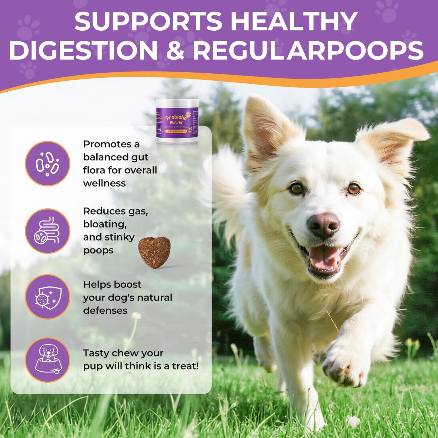 Probiotics for All Breeds and Ages Dogs, Support Gut Digestive Health, Anti Diarrhea, Constipation Relief, No More Allergies, Dog Supplements - Pork Flavor - 90 Soft Chews
