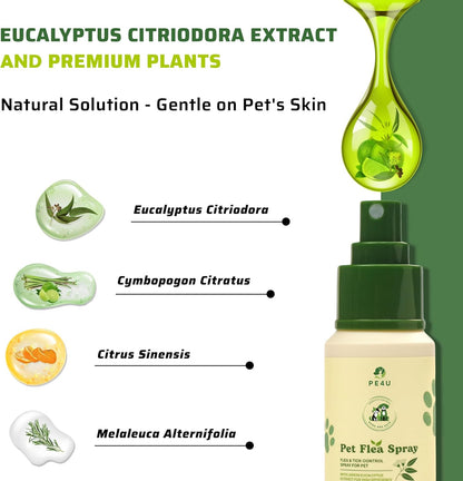 Natural Spray for Dogs & Cats - Itch Relief & Skin Soothing Spray with Eucalyptus Lemon Oil - Safe for Sensitive Skin, Reduces Irritation, Neutralizes Odor, and Protects Skin - [Spray + Shampoo]