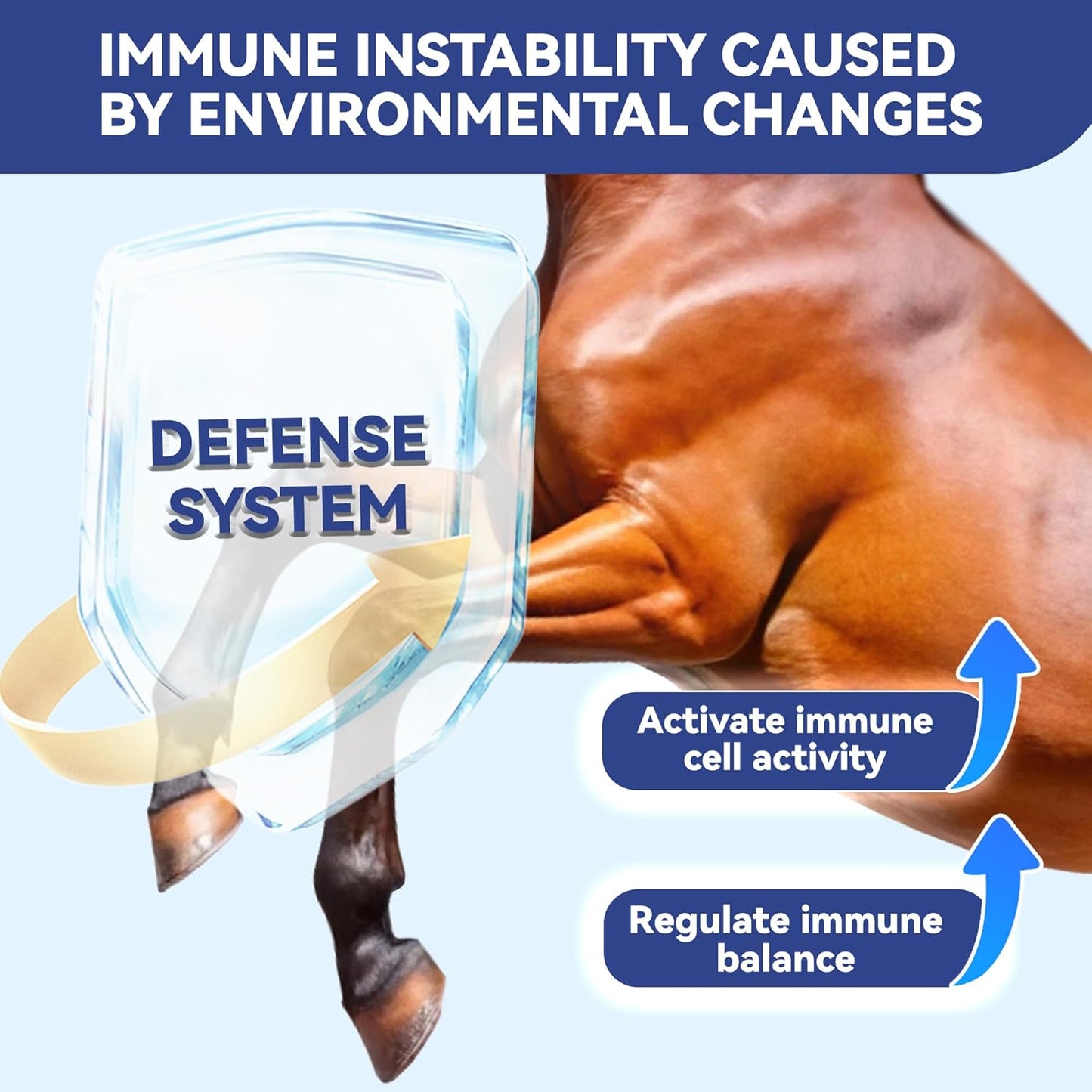 30-Day Supply Equine Body Repair Protein Supplement-Amino Acids Speed up Muscle Recovery After Exercise Promote Muscle Growth and Healthier Joints