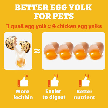 Wellix Freeze Dried Quail Eggs for Cats&Dog Treats - High-Protein Quail Egg Yolk Freeze Dried Cat Treats for Skin&Coat Health - Delicious Training Snacks for Pets 4.2oz