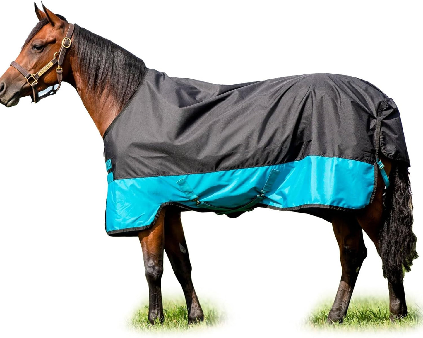 AMIGO Mio Turnout Sheet Lite Black/Turquoise/Black 81