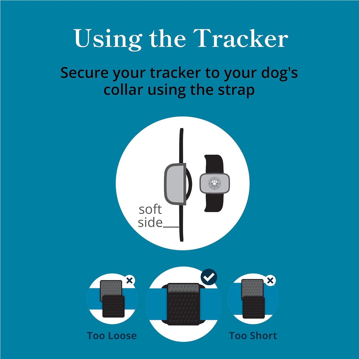 Petivity Smart GPS and Activity Pet Tracker for Dogs Powered by Purina, Waterproof Real Time Tracking GPS Dog Collar, Downloadable App, Subscription Required
