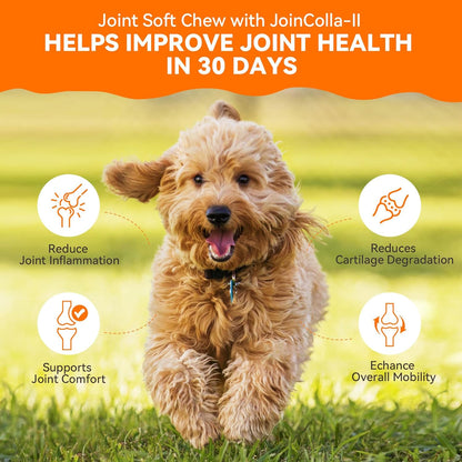30 Soft Chews Dog Joint Supplement & 200 Tablets Multivitamin for Skin and Coat for Dogs and Pets
